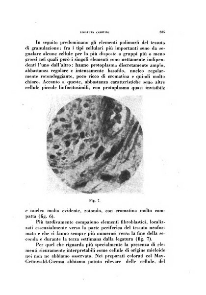 Archivio italiano di medicina sperimentale