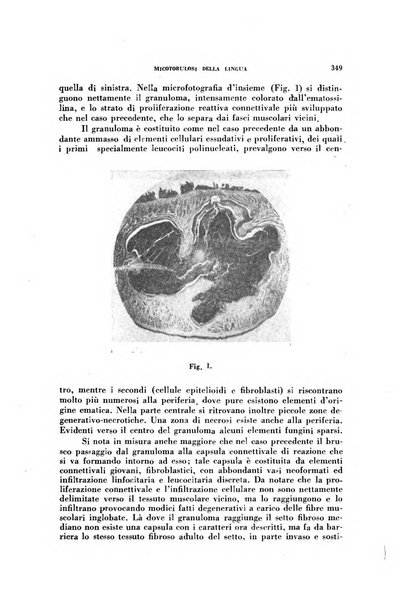 Archivio italiano di medicina sperimentale