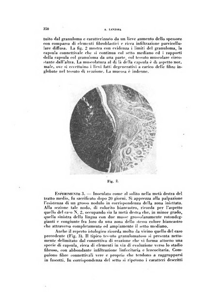 Archivio italiano di medicina sperimentale