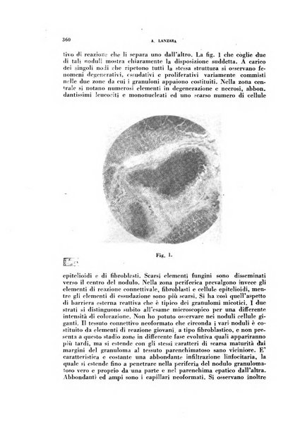 Archivio italiano di medicina sperimentale