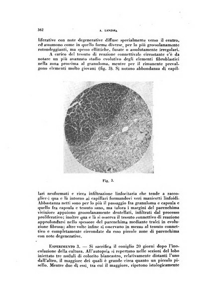 Archivio italiano di medicina sperimentale