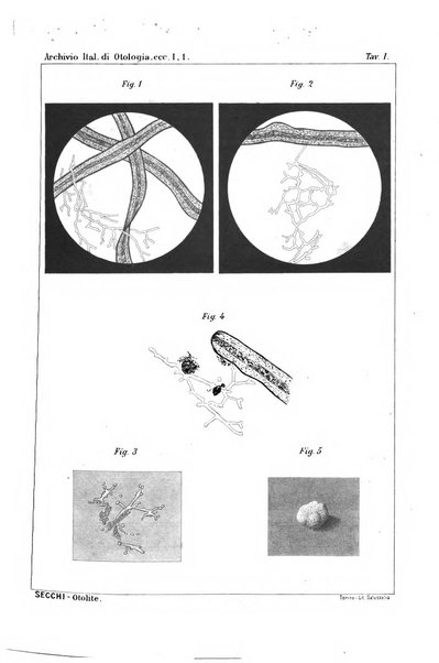 Archivio italiano di otologia, rinologia e laringologia