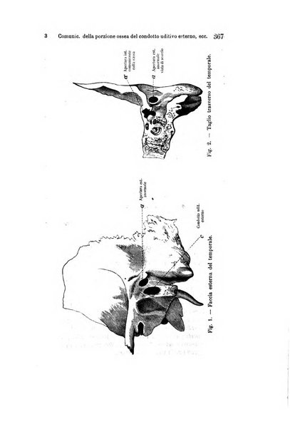 Archivio italiano di otologia, rinologia e laringologia