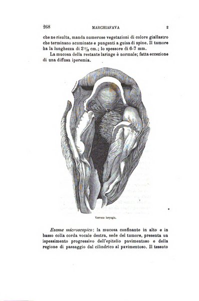 Archivio italiano di otologia, rinologia e laringologia