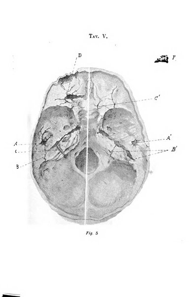 Archivio italiano di otologia, rinologia e laringologia