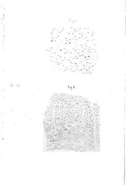 Archivio italiano di otologia, rinologia e laringologia