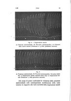 giornale/TO00176880/1902-1903/unico/00000164