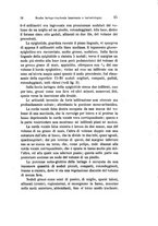 giornale/TO00176880/1903-1904/unico/00000033