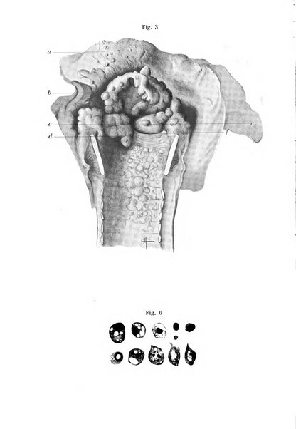 Archivio italiano di otologia, rinologia e laringologia