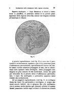 giornale/TO00176880/1903-1904/unico/00000049