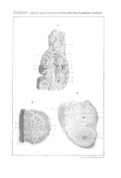 Archivio italiano di otologia, rinologia e laringologia