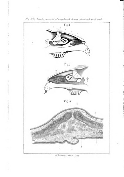 Archivio italiano di otologia, rinologia e laringologia