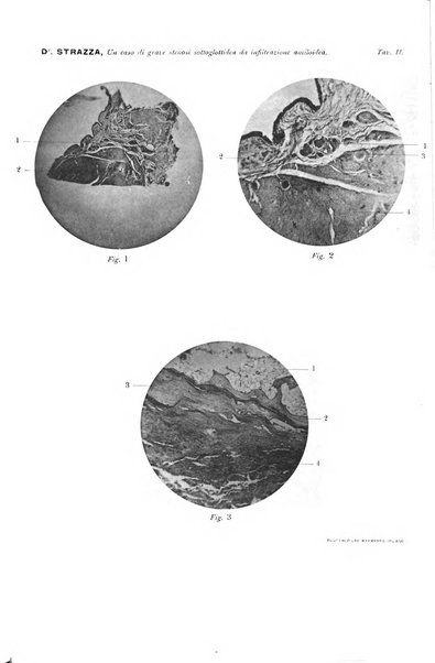 Archivio italiano di otologia, rinologia e laringologia