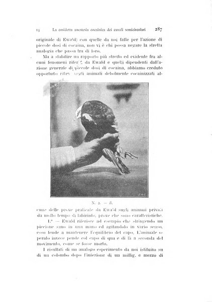 Archivio italiano di otologia, rinologia e laringologia