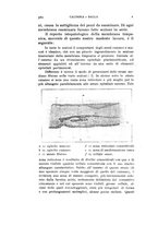 giornale/TO00176880/1913/unico/00000404