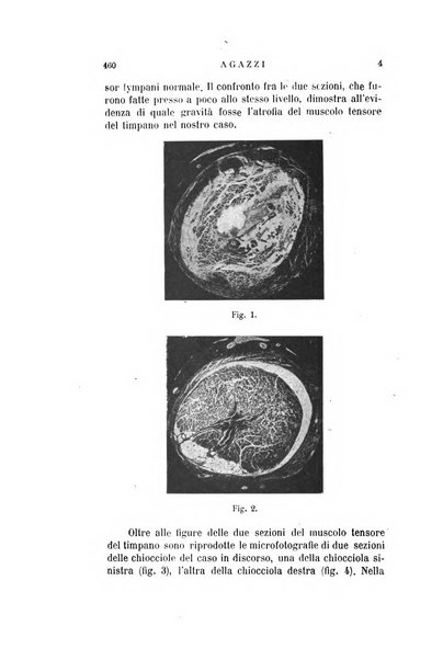 Archivio italiano di otologia, rinologia e laringologia