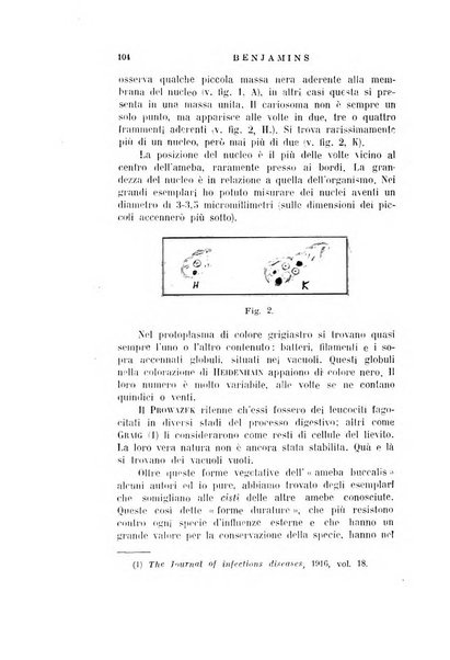 Archivio italiano di otologia, rinologia e laringologia