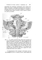 giornale/TO00176880/1919/unico/00000237