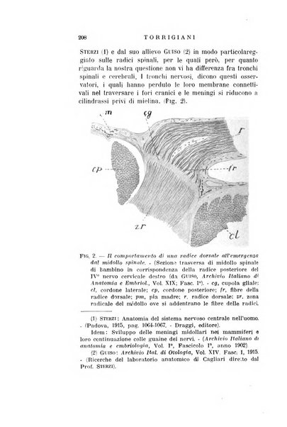 Archivio italiano di otologia, rinologia e laringologia