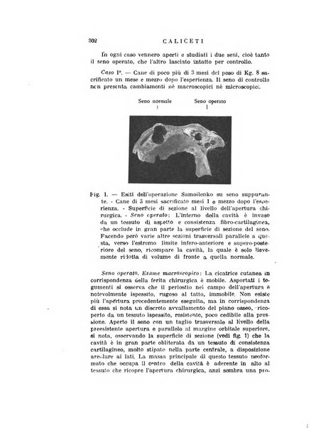 Archivio italiano di otologia, rinologia e laringologia