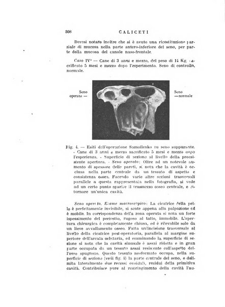 Archivio italiano di otologia, rinologia e laringologia