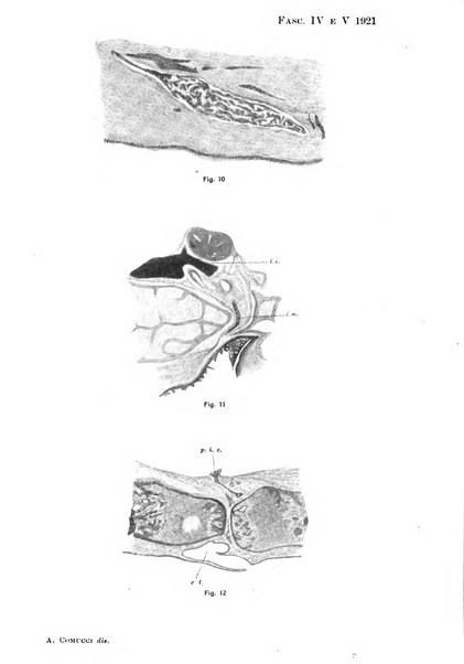 Archivio italiano di otologia, rinologia e laringologia