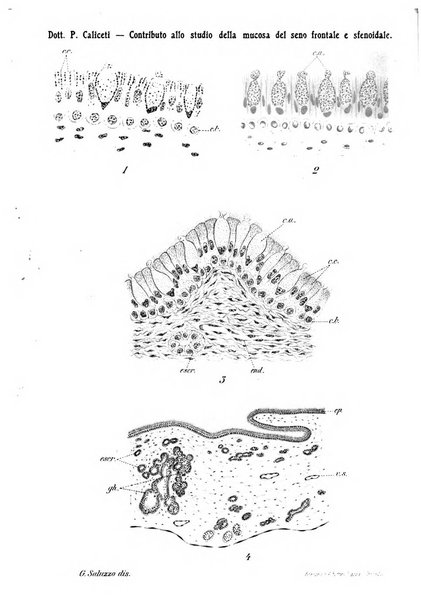 Archivio italiano di otologia, rinologia e laringologia