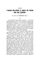 giornale/TO00176880/1924/unico/00000419