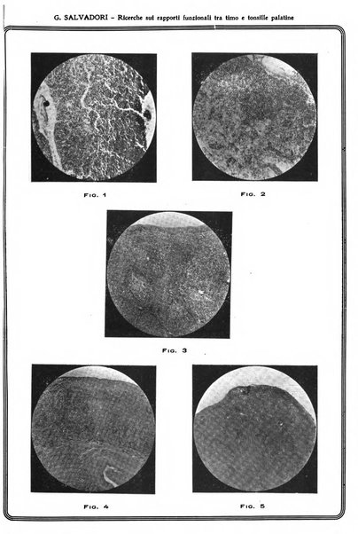 Archivio italiano di otologia, rinologia e laringologia