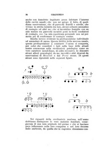 Archivio italiano di otologia, rinologia e laringologia