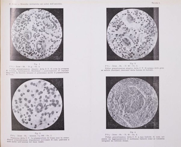 Archivio italiano di otologia, rinologia e laringologia