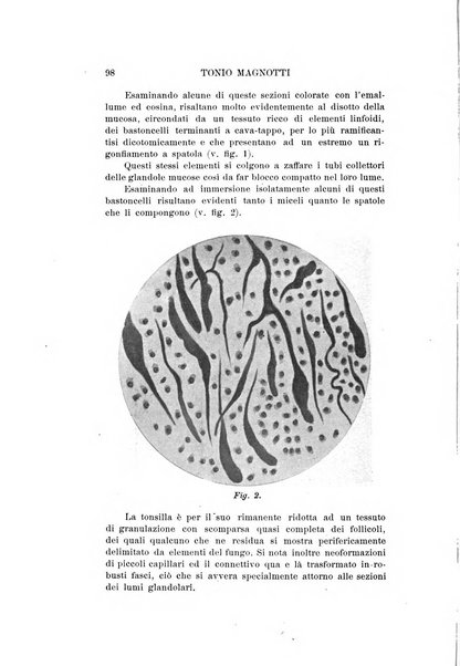 Archivio italiano di otologia, rinologia e laringologia