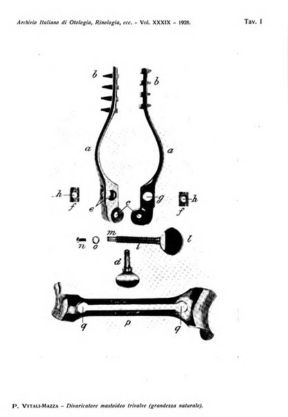 Archivio italiano di otologia, rinologia e laringologia