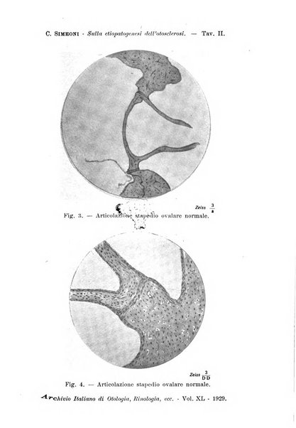 Archivio italiano di otologia, rinologia e laringologia