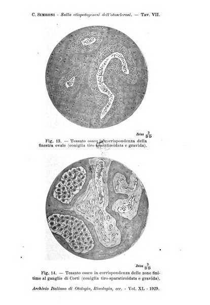 Archivio italiano di otologia, rinologia e laringologia