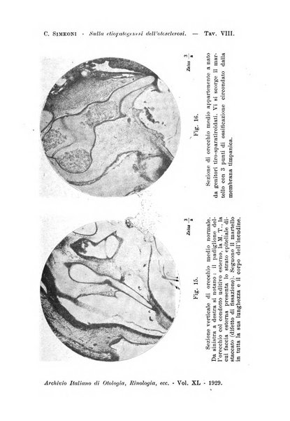 Archivio italiano di otologia, rinologia e laringologia