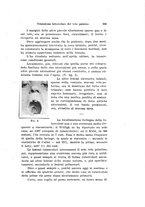 giornale/TO00176880/1931/unico/00000393