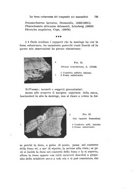 Archivio italiano di otologia, rinologia e laringologia