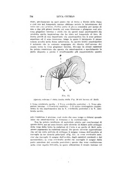 Archivio italiano di otologia, rinologia e laringologia