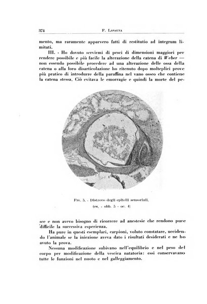 Archivio italiano di otologia, rinologia e laringologia