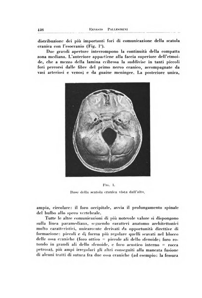 Archivio italiano di otologia, rinologia e laringologia