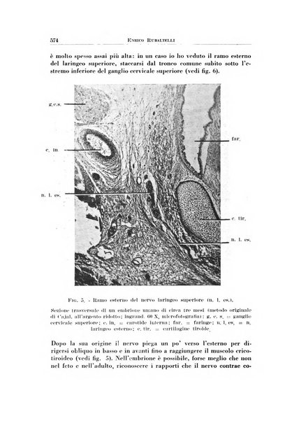 Archivio italiano di otologia, rinologia e laringologia