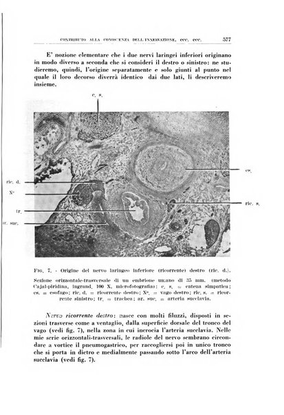 Archivio italiano di otologia, rinologia e laringologia