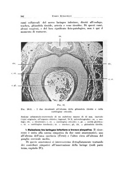 Archivio italiano di otologia, rinologia e laringologia