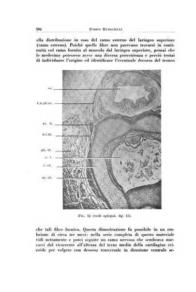 Archivio italiano di otologia, rinologia e laringologia