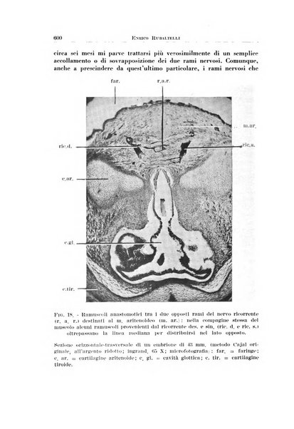 Archivio italiano di otologia, rinologia e laringologia