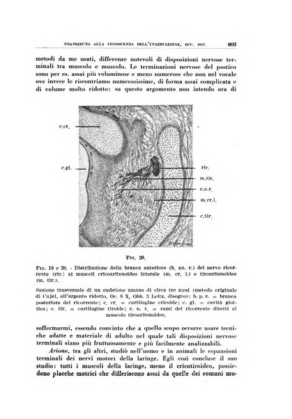 Archivio italiano di otologia, rinologia e laringologia