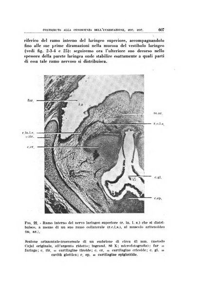 Archivio italiano di otologia, rinologia e laringologia