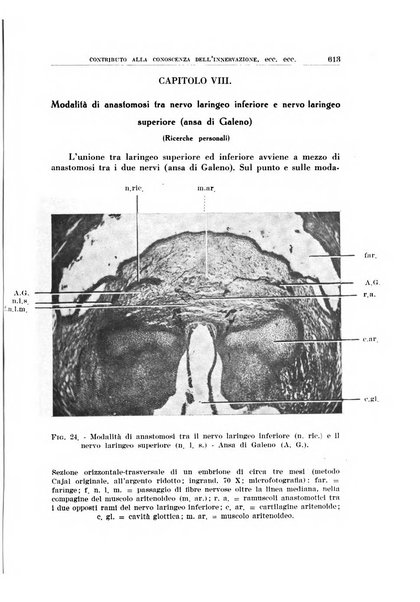 Archivio italiano di otologia, rinologia e laringologia