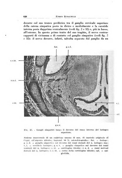 Archivio italiano di otologia, rinologia e laringologia